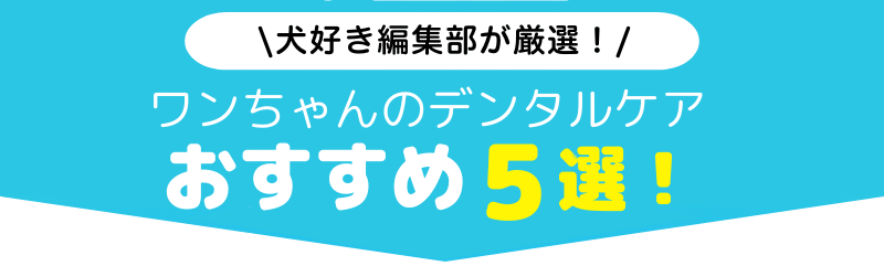＼犬好き編集部が厳選！／ワンちゃんのデンタルケア
おすすめ10選